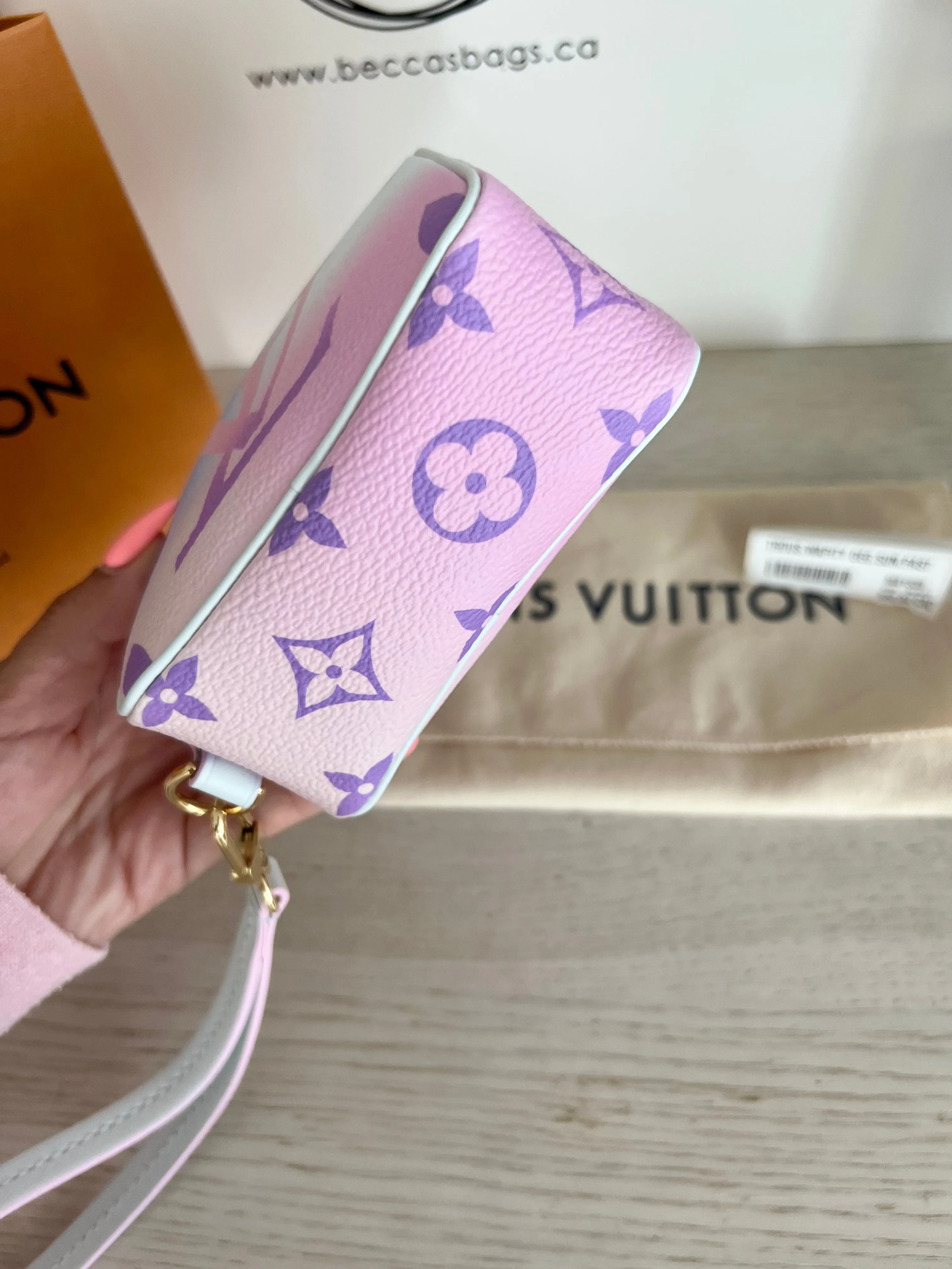 Louis Vuitton Wapity Wristlet Pouch