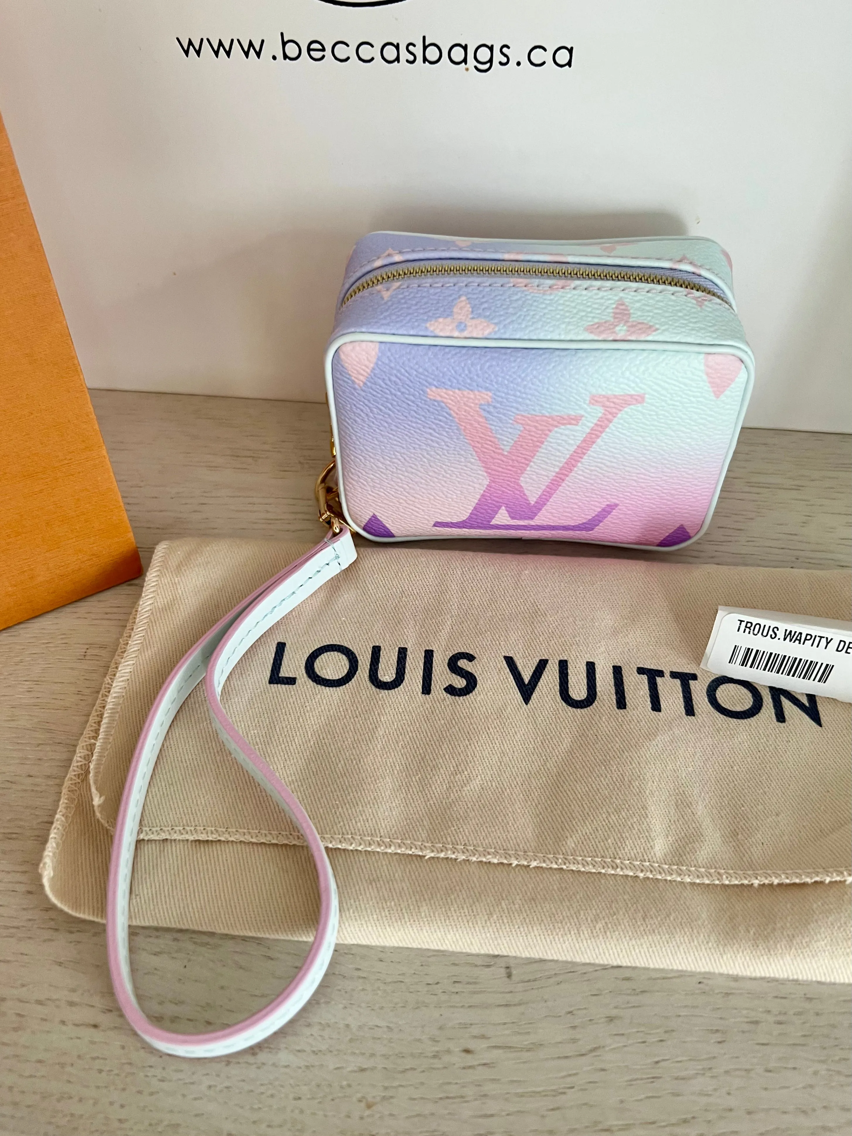 Louis Vuitton Wapity Wristlet Pouch