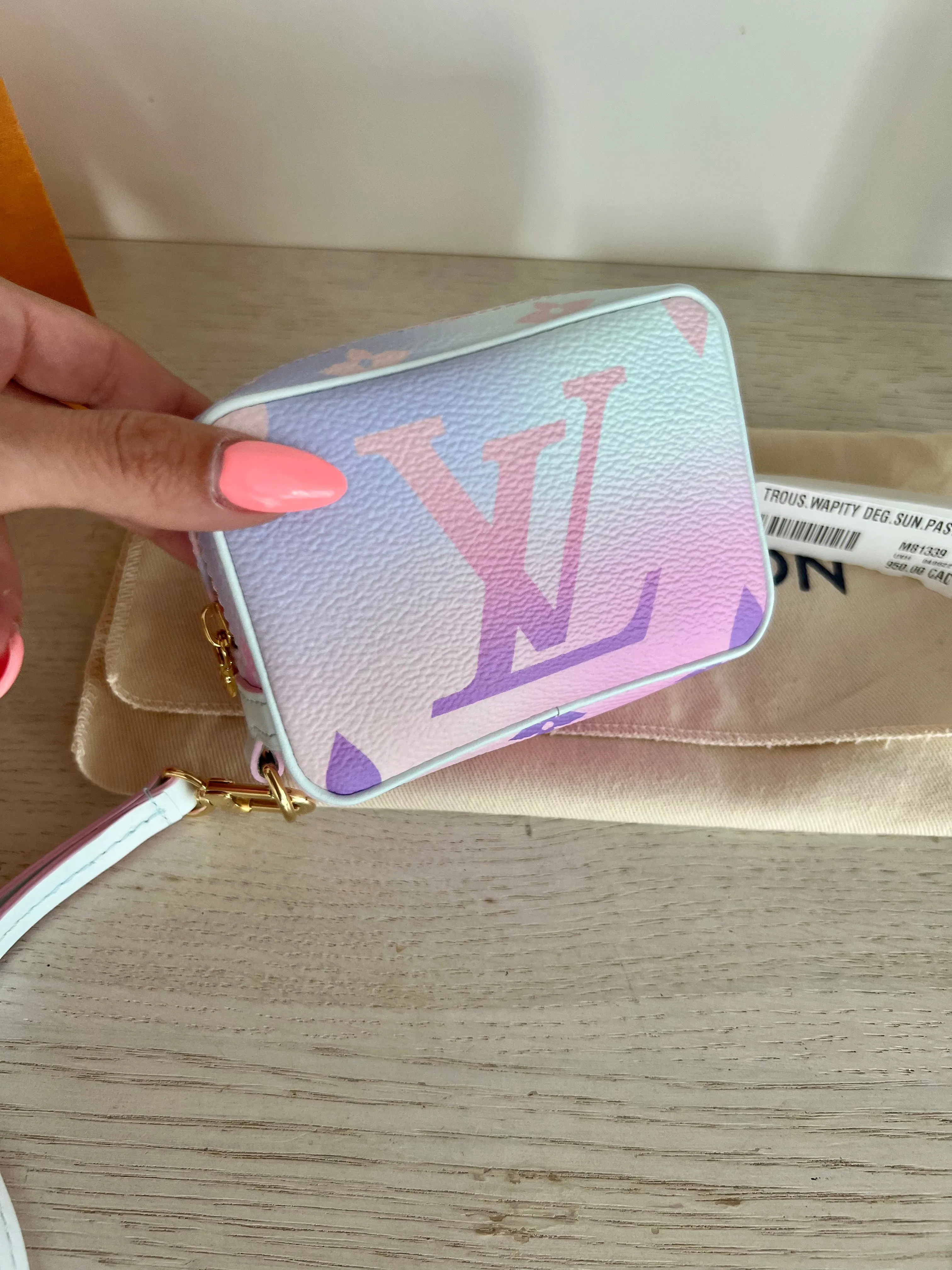 Louis Vuitton Wapity Wristlet Pouch